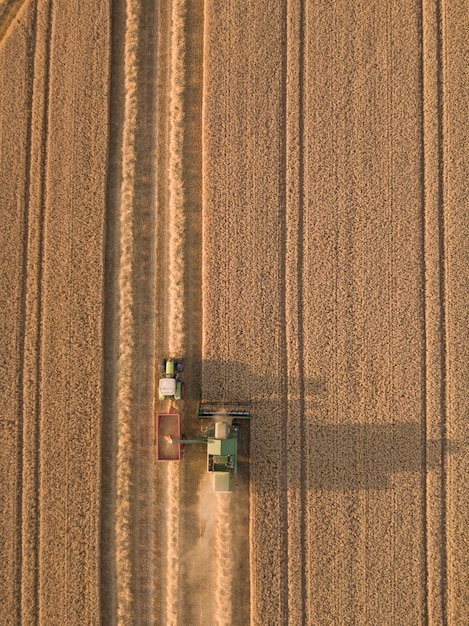 Oude werkzaamheden in de landbouw
