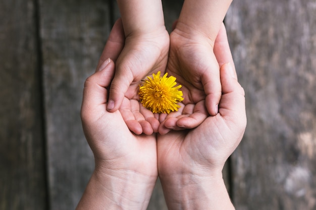 Ouder en kind handen bloemen overhandigen