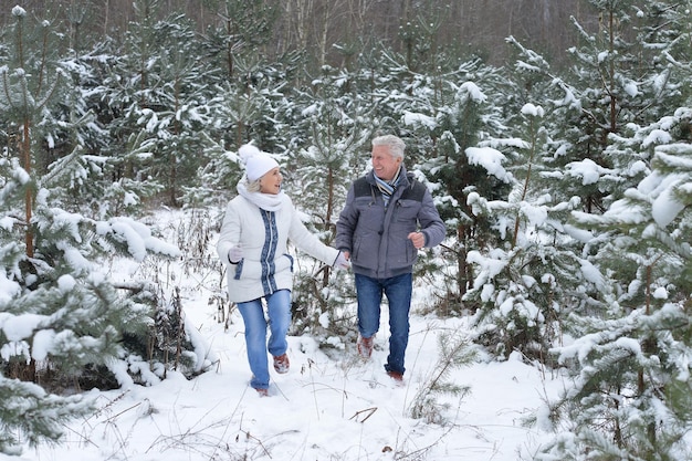 Ouder paar gelukkig samen poseren buiten in de winter