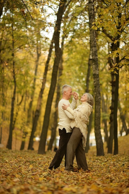 Ouder paar wandelen in het herfstpark