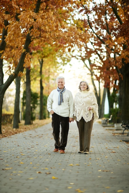 Ouder paar wandelen in het herfstpark