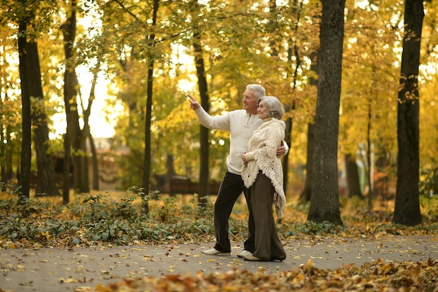 Ouder paar wandelen in het herfstpark