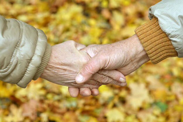 oudere echtpaar hand in hand in een mooi park
