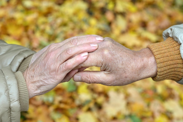 oudere echtpaar hand in hand in een mooi park