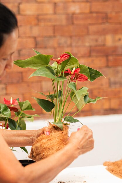 Foto oudere elegantie het maken van groene geschenken