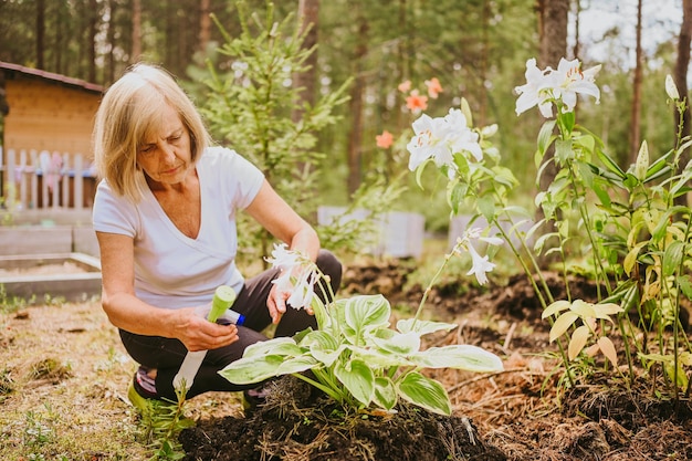 Oudere senior tuinman boer vrouw zorgzame bloemen in de zomertuin op het platteland buitenshuis sprays