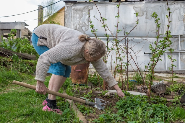 Oudere vrouw die in de tuin werkt