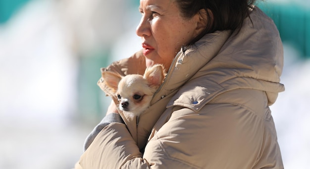 oudere vrouw met een chihuahua hond in de winter