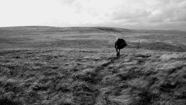 Photo out on the moors