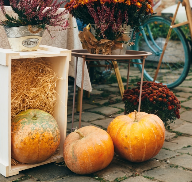 Outdoor autumn or fall decorations with big pumpkins and different flowers.