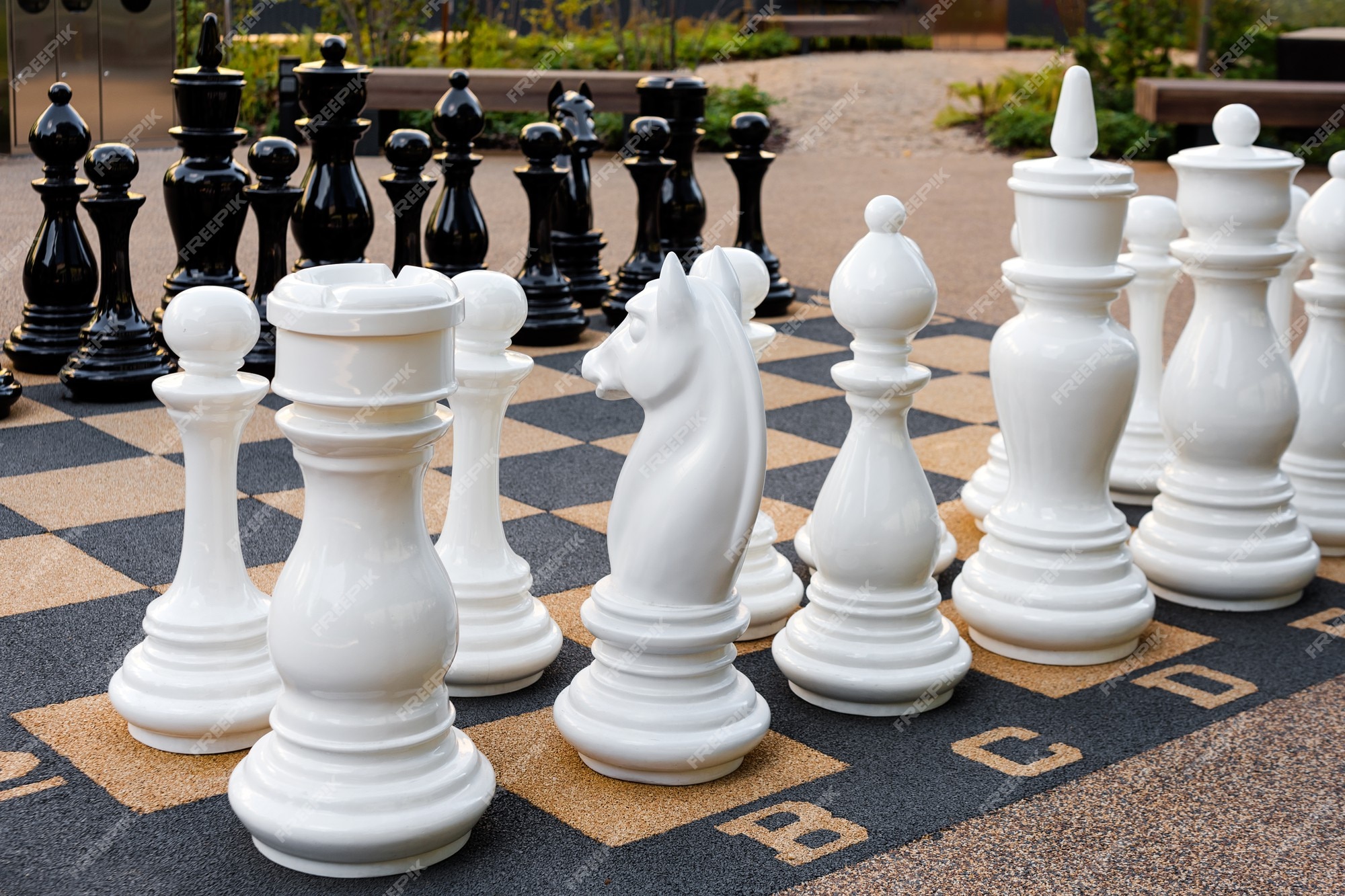 Garden Giant Plastic Chess Pieces - PAWN