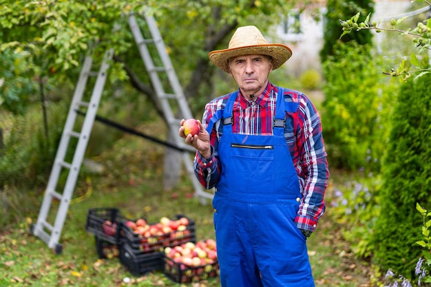 Lavoratore agricolo all'aperto in giardino bello giardiniere con le mele