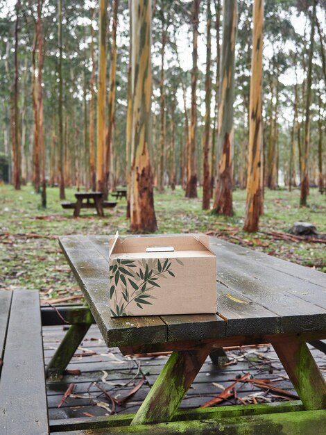 Outdoor picnic area with wooden tables and benches, trees and a cardboard box on the table.