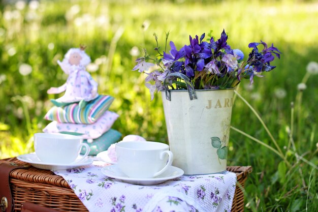 Outdoor picnic in vintage style