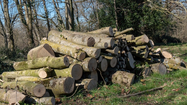 Photo outdoor, pile of wood for the fireplace