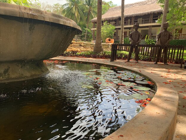 Foto piscina all'aperto con fontana naturale di ninfee, punto panoramico colorato sull'acqua nello stagno naturale