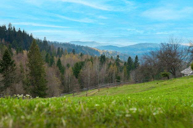 アウトドアレクリエーション緑の山の景色の木々と木造住宅カルパティア山脈ウクライナ