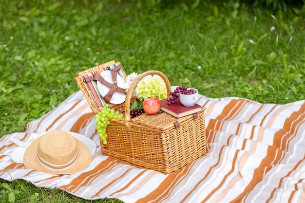 牧草地での屋外レクリエーション ピクニック