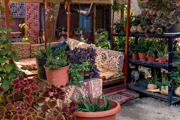 outdoor roadside eatery-dastarkhan among potted flowers in the countryside in Turkey