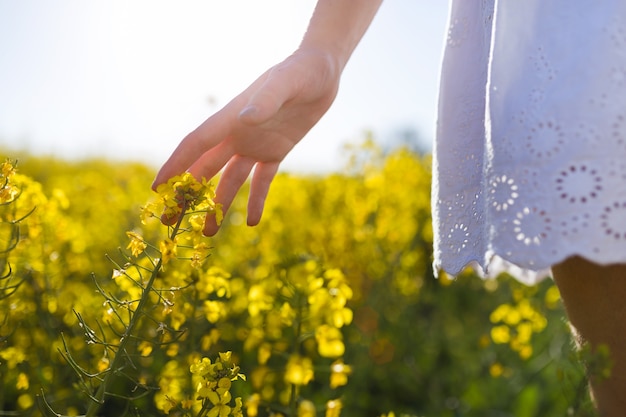 outdoor rural walking environment summer