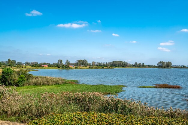 Открытый сельский водный сельский пейзаж