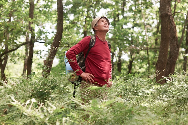 Outdoor shot of elderly man travels with backpack trough forest, backpacker goes along road along wood