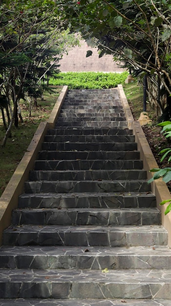 측면에 나무가 있는 자연석으로 된 야외 계단