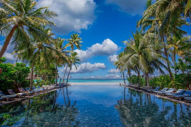 Foto paesaggio del turismo all'aperto. lussuoso resort sulla spiaggia con piscina a sfioro e palme sulla spiaggia