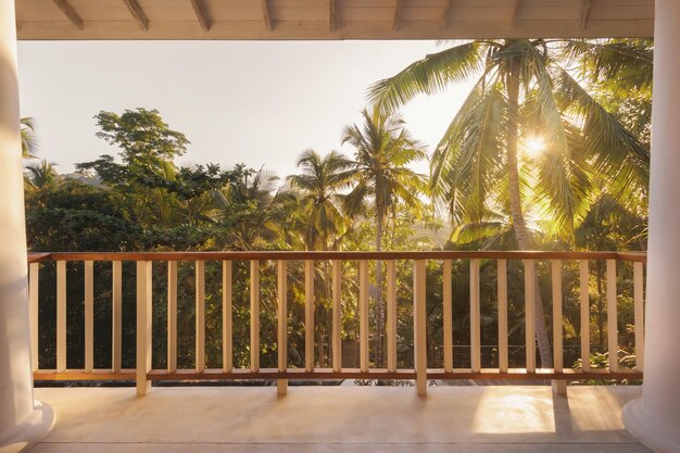 Outdoor wooden terrace with a picturesque view of morning jungle