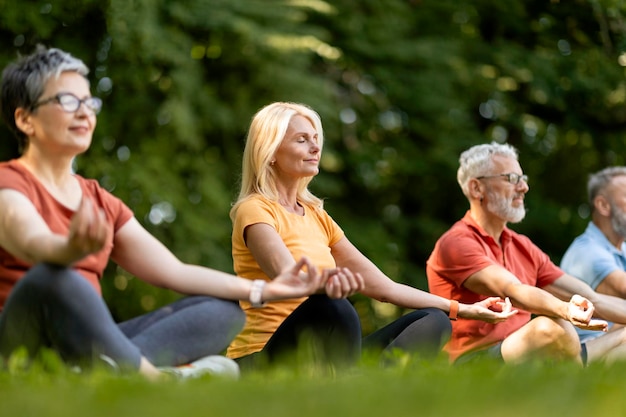屋外ヨガクラスの高齢者のグループが公園で一緒に瞑想する