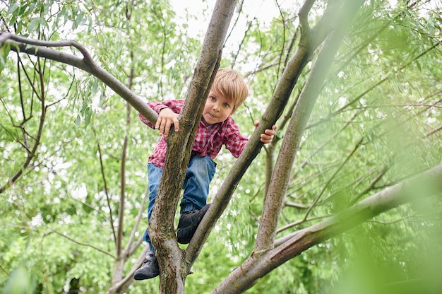 Outdoors portrait of cute preschool boy climbing a tree