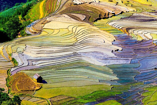 写真 屋外の木の水 伝統的なメディアの風景 自然のソロ