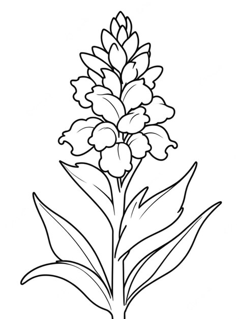 outline of a beautiful flower