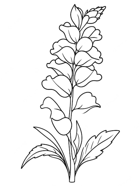 outline of a beautiful flower