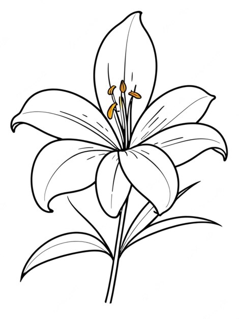 outline of a beautiful flower