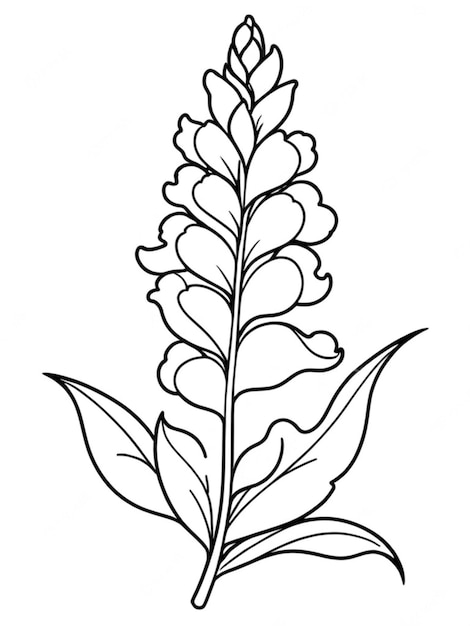 outline of a beautiful flower