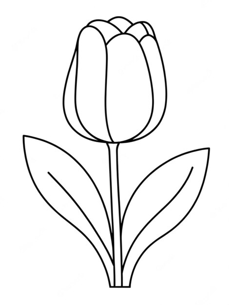 outline of a beautiful flower