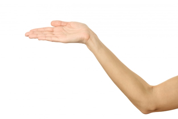 Mano femminile tesa. gesturing della mano della donna isolato su bianco