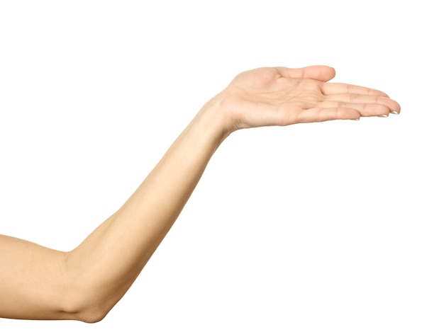 Протянутая женская рука. Рука женщины с показывать французский маникюр изолированный на белой предпосылке. Часть серии