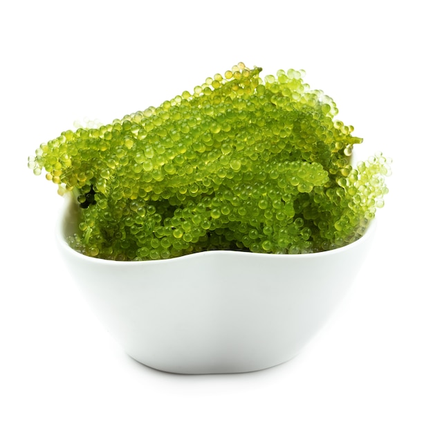 Oval sea grapes seaweed, Close up Green Caviar isolated on white background.
