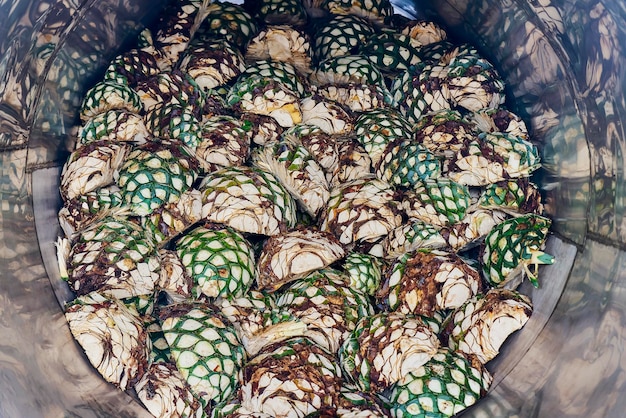 Oven full of agave ready to start steaming it