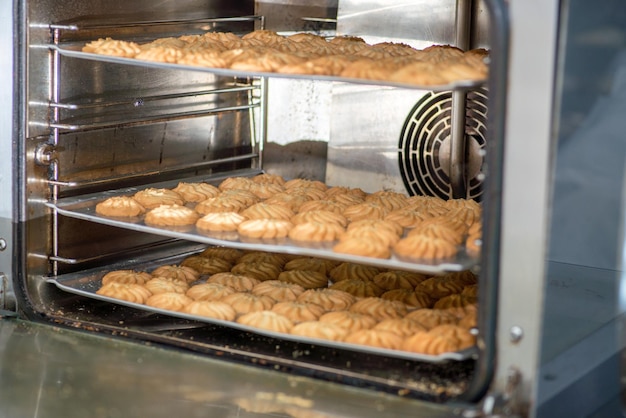 Oven met bakplaten industriële productie van broodbakkerijproducten