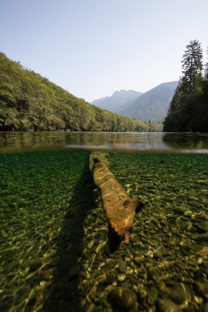 Over en under foto van een rivier tijdens een levendige zonnige zomerdag