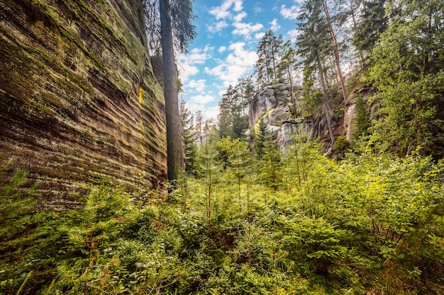 Overblijfselen van de rotsstad in Adrspach Rocks, een deel van het landschapspark AdrspachTeplice in de Broumov-hooglanden in de Tsjechische Tsjechische bergen van Bohemen