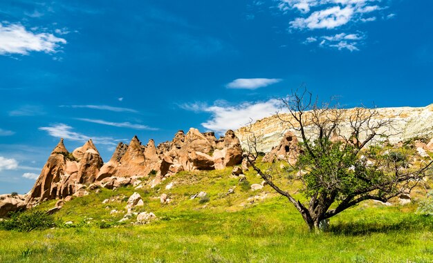 Overblijfselen van het Zelve-kloostercomplex in het Goreme National Park. Cappadocië, Turkije