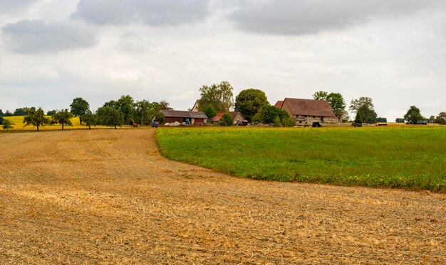 Overcast farmland scenery