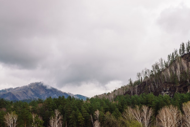 Overcast mountain landscape with hills in mist. Fog above beautiful mountains. Rainy weather in Altai.