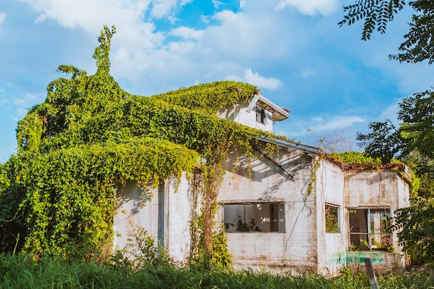 Foto edera invasa sulla vecchia casa abbandonata. cabina coperta di edera