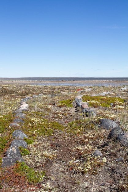 An overgrown path outlined with rocks on the arctic tundra, near Arviat, Nunavut, Canada