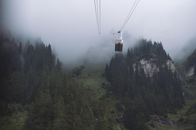 Photo overhead cable car in forest against sky